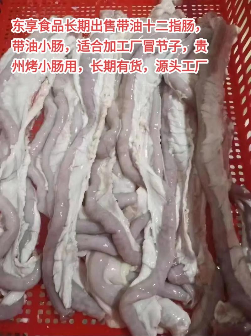 东享食品长期出售带油十二指肠,带油小肠,适合加工厂冒节子,贵
