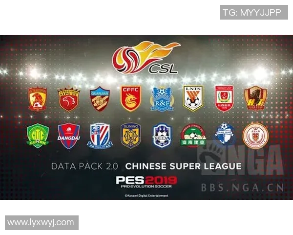 中国足球合同的现状与未来发展趋势分析及其对职业联赛的影响
