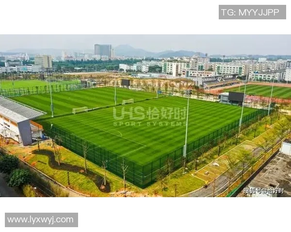 广州白云区足球发展现状与未来展望探讨及青少年培养策略分析