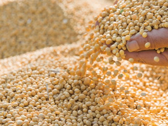 光谱技术大会落幕 迅杰光远引领NIR技术赋能食品加工新篇章