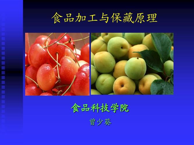 食品加工与保藏原理 从传统到现代的科技守护
